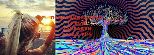 наркотики Абаза