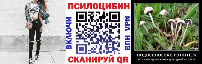 Галлюциногенные грибы Psilocybe  Стрежевой 
