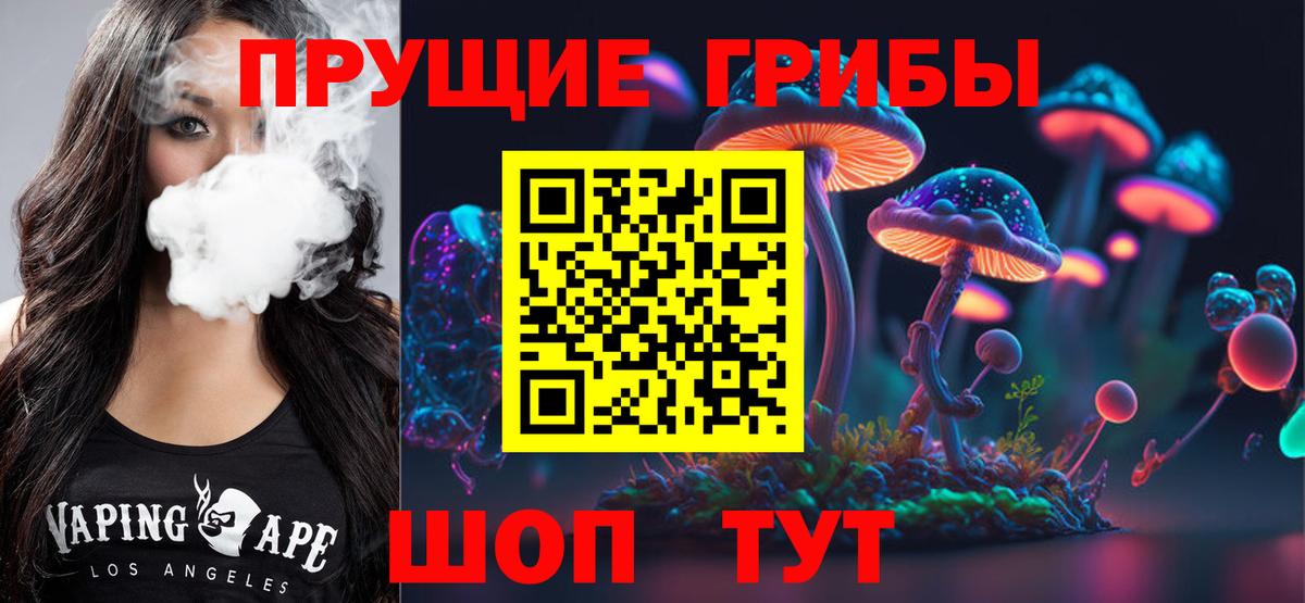 дарнет шоп  Галлюциногенные грибы MAGIC MUSHROOMS  Вход с VPN  Стрежевой 
